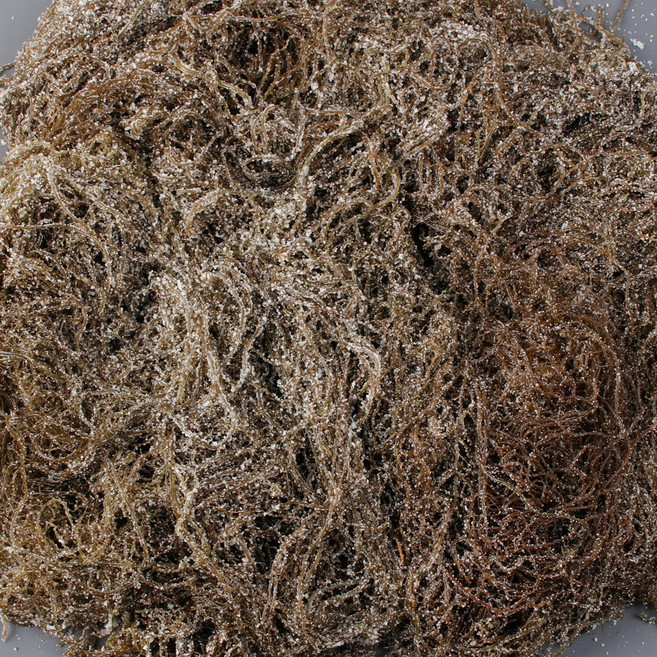 백송식품 염장 꼬시래기 2kg, 1개