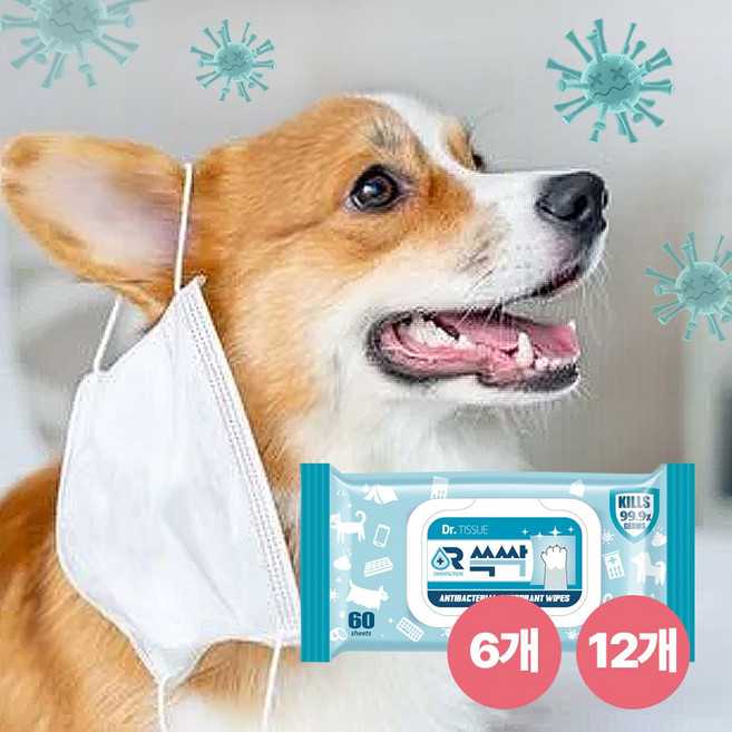 닥터쓱싹 소독티슈 주변소독99.9% 반려동물 애견 항균 강아지물티슈 고양이물티슈 탈취 60매 4개 8개, 6팩