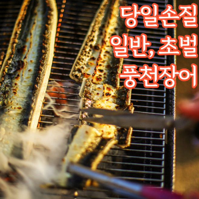 민물장어 손질장어 장어구이 초벌장어 밀키트 400g 600g 800g 1kg, 일반_손질장어, 2개