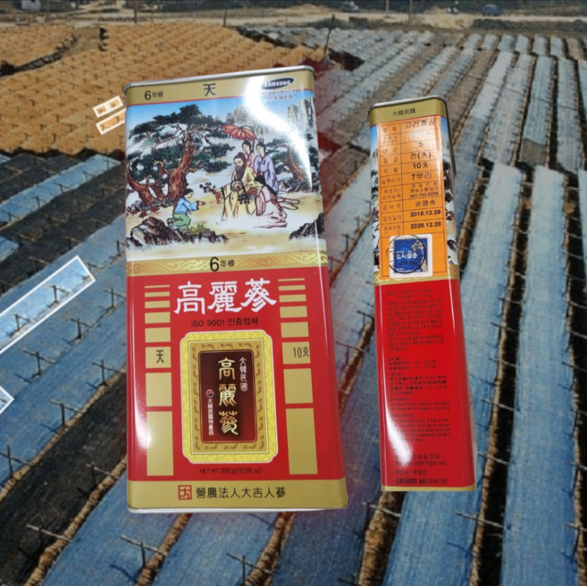 천삼 10지/7뿌리 최 고급 홍삼6년근, 1개, 300g