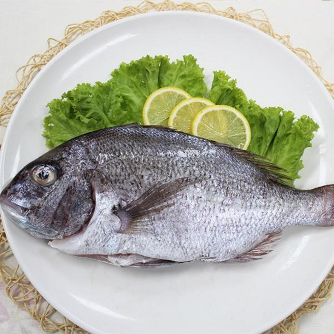 여수 화태바다야 자연산 반건조 참돔1.6kg내외(3미), 1, 단품