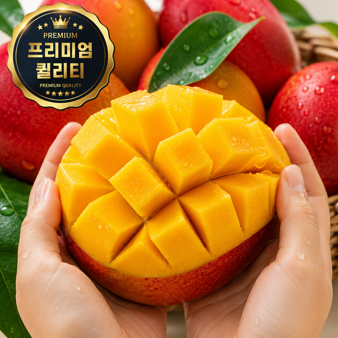[재구매1위] 귀족과일 최고급 제주애플망고 특대과 로얄특품, 1박스, 특대 1kg(2-3과)