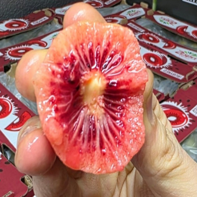 고당도 루비 레드 키위 대과 30과, 1박스, 90g 내외