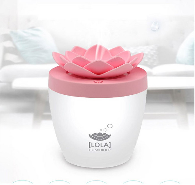 신광 5핀 미니가습기 화분가습기 색상임의배송, 단품