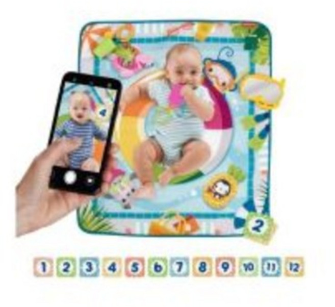 피셔프라이스 홈캉스 포토존 워셔블 아기체육관, 혼합색상, 1개