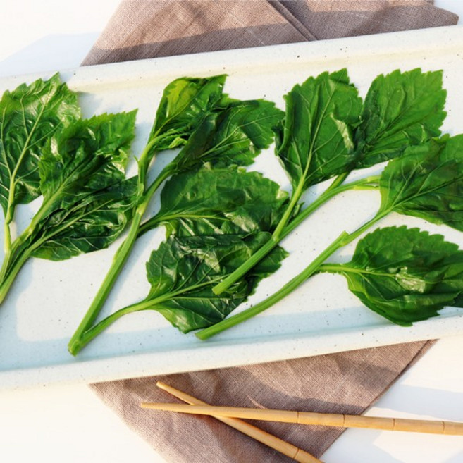 국내산 데친 부지깽이 쑥부쟁이 신선한 나물, 데친 부지깽이 1kg, 1개, 1kg