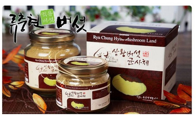 국산 상황버섯 균사체 300g, 본상품, 1개