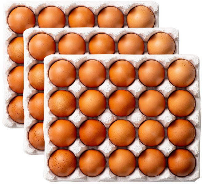 HACCP 난각번호 1번 자연방사 유정란, 1개, 60구