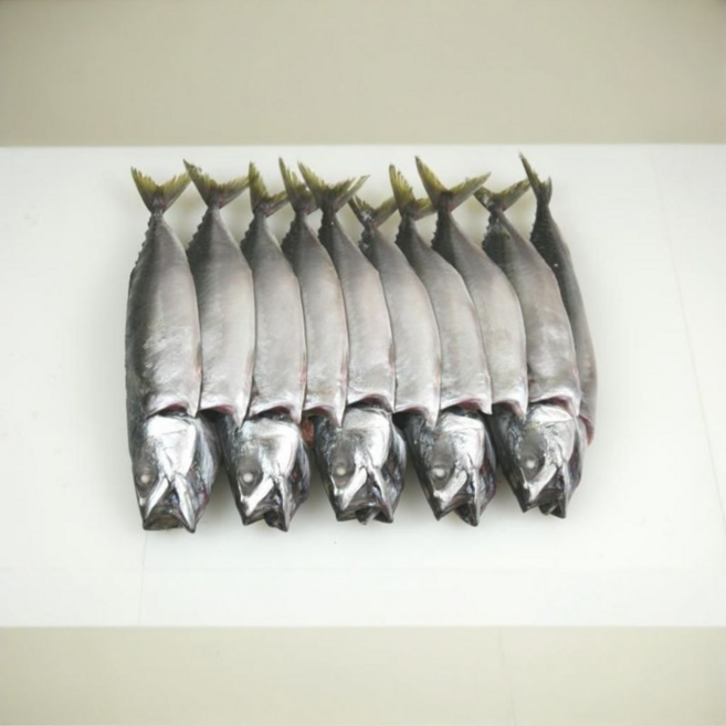 간고등어 냉동 국내산 자반고등어, 1개, 10마리 (소) 1.8kg내외