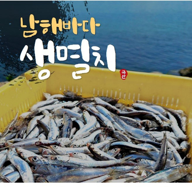 산지직송 남해바다 생멸치 500g