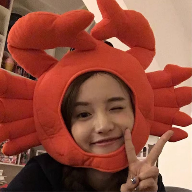 특이한 모자 커버 사진 소품용 귀여운 인싸, 대게