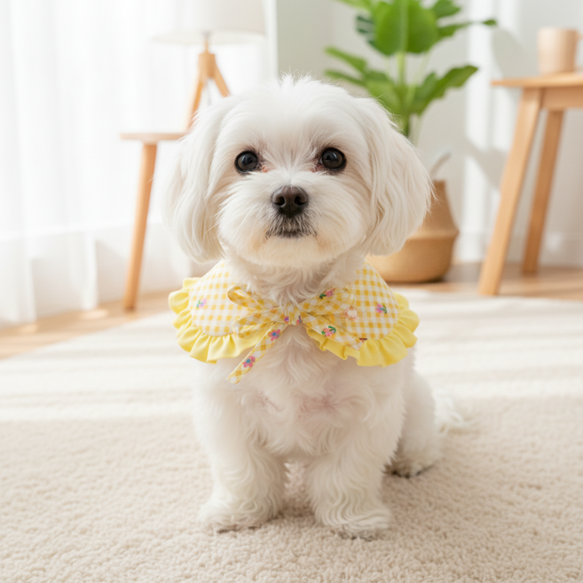 하니펫 반려동물 귀요미스카프 체크스카프 빕, 1개, 노랑