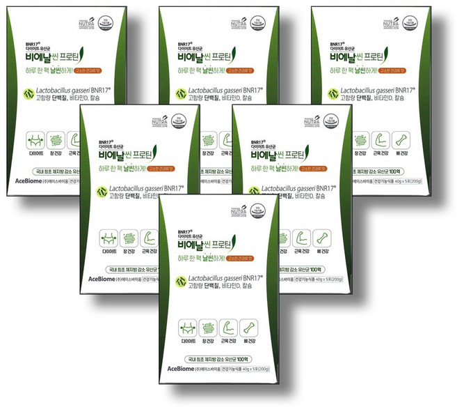 비에날씬 BNR17 [본사출고] 프로틴, 200g, 6개