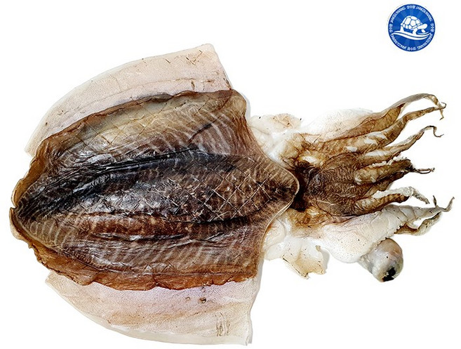 장수왕 국내건조 반건조 갑오징어 특대 1마리 (800g-900g내외) 반건 오징어, 특대 800-900g 내외, 1개