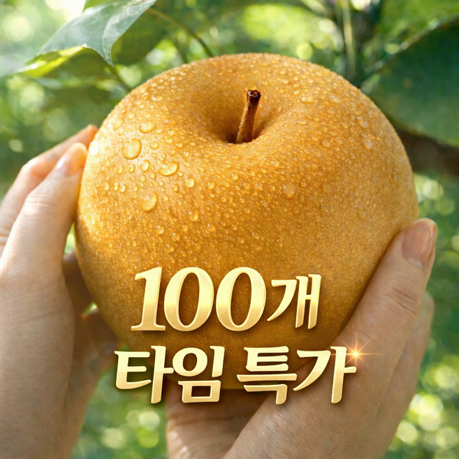 [100개 초특가] 나주배 신고배 고당도 햇배, 1박스, 신고배 (상) 5kg