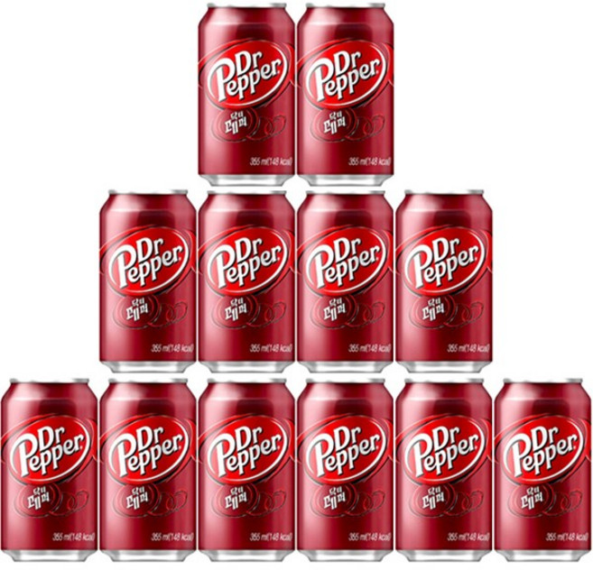 닥터페퍼 355ml x 24캔, 24개