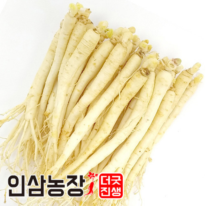 인삼 수삼 금산인삼 세척 원수삼 더굿진생, 1개, 세척인삼450g(34~41뿌리)
