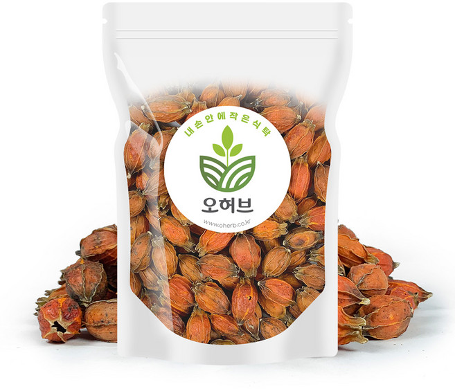 국산 치자 치자열매 250g(통), 1개, 단품