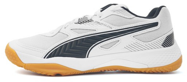 솔라플래쉬 2 10688207 인도어화 배드민턴화 탁구화 입시체육, 275, 275:10688207, 선택완료