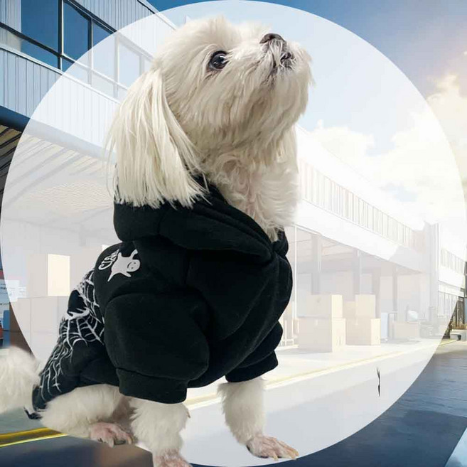 강아지 코스튬 스컬장식 S 강아지파티복 할로윈소품 웃긴의상 파티의상 할로윈의상 강아지옷