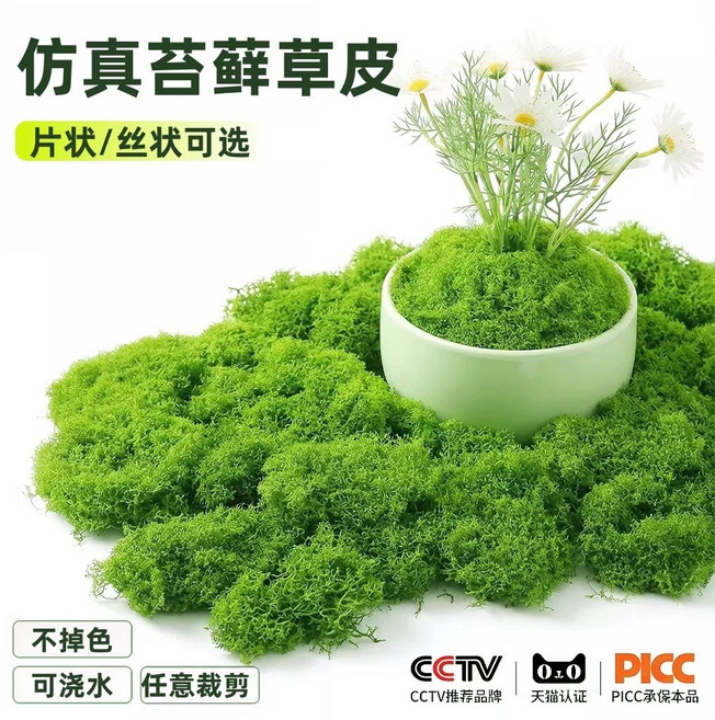 仿真絲狀苔蘚 微景觀佈置草絲 DIY青苔生態瓶造景, 深綠色,50g, 1個