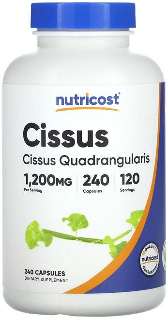 절실히 몸관리가필요한시기 Nutricost 시서스 캡슐 240정(캡슐 1정당 600mg) 프리미엄할인상품입니다, Nutricost시서스캡슐240정캡슐1정당600mg - 쿠팡