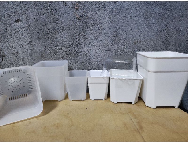 台灣 超厚透氣盆 盆器 透明盆 白色盆 多肉植物盆 觀葉植物盆 控根盆, 1個, 加高6號,透明