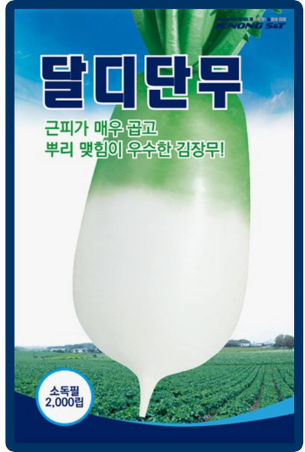 산들마켓 달디단무 씨앗 2000립 가을 저장용 김장무씨 종자, 1개