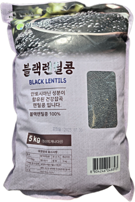 월드그린 블랙렌틸콩, 5kg, 1개