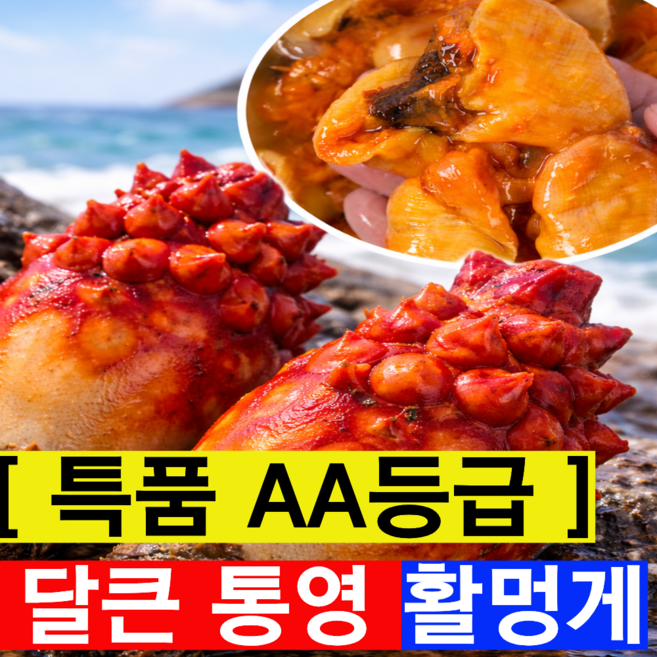 [특등품AAA등급] 통영 손질 활멍게 생물멍게, 1박스, 3kg(특품)