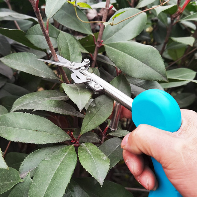 아띠꼴로 전지가위 전정가위 가정용 식물가위 꽃꽂이가위 나무 분재 원예 꽃 화초 가위, 1개, 블루