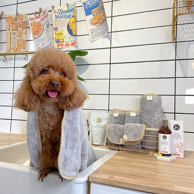 강아지타올 프리미엄 초극세사 스피드 드라이타올 발수건 엘피스 펫타올 S사이즈, 1개