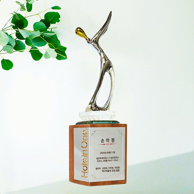 좋은상패 골프트로피 홀인원트로피 홀인원패 홀인원기념패 홀인원상패 싱글트로피 골프싱글패 싱글패 골프이글패 이글패 KHF2, 1개, 실버