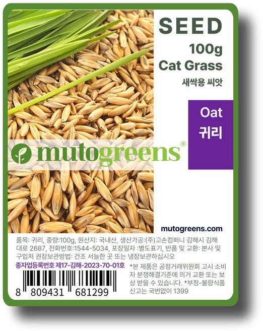 뮤토그린스 올해 생산된 캣그라스 보리 귀리 씨앗 100g, 1개