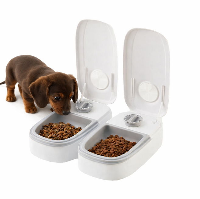 아이레노 반려펫용 자동급식기 프리미엄 다이닝 반려견 반려묘 타이머 설정 정량 배식 자동 밥그릇, 1개, 그레이2구, 350ml