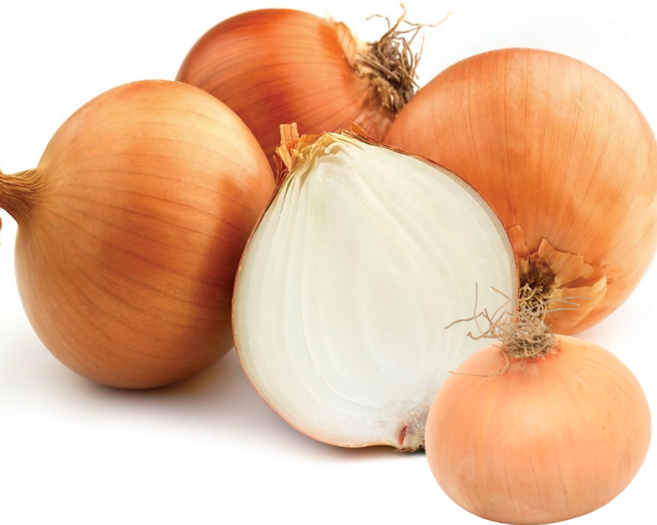 무안 흰 햇 양파, 1개, 햇 양파 5kg 중대혼합