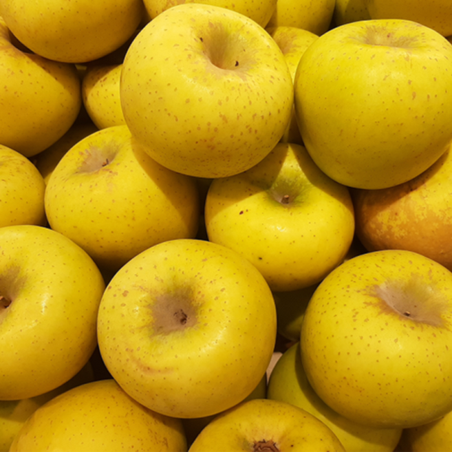 [반값할인] 청송 고당도 아삭이 황금 시나노골드 사과 4.5KG 대과, 1박스