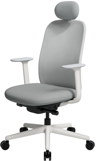 SIDIZ T20 網背人體工學椅, 都會灰