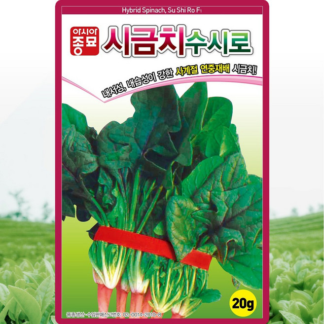 사계절 시금치씨앗 20g (약2000립) 아시아종묘 수시로 시금치 종자 홈가드닝, 1개