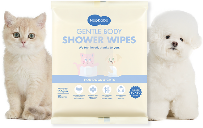 냅다다 젠틀바디샤워티슈 강아지 고양이 목욕 물티슈 대나무원단 100gsm, 1개, 10개입