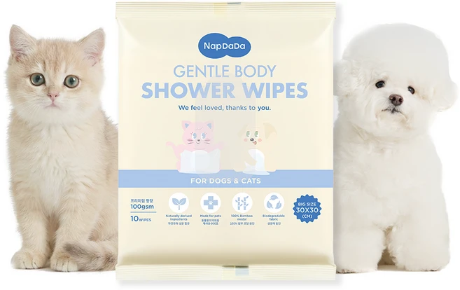 냅다다 젠틀바디샤워티슈 강아지 고양이 목욕 물티슈 대나무원단 100gsm, 1개, 10개입 - 쿠팡