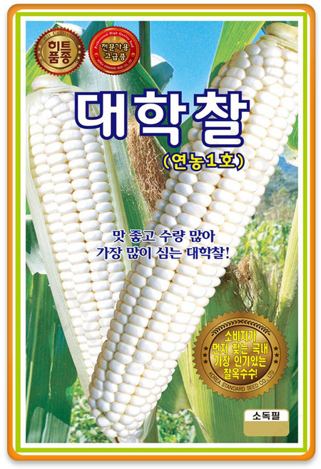 대학찰옥수수씨앗 (70립) 연농1호 찰 옥수수 씨앗, 5개