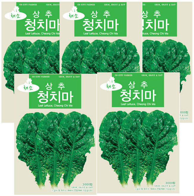 모두다 채소씨앗 청치마상추씨앗(3000립), 5개