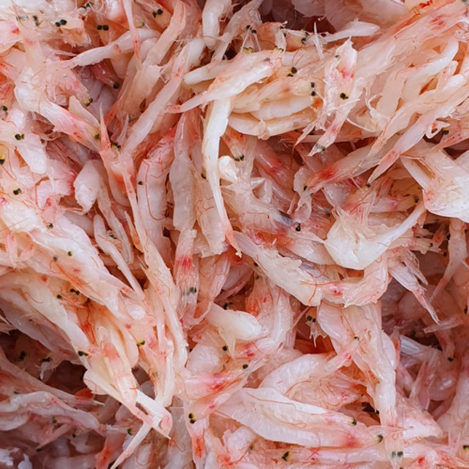 국산 신안 새우젓 참새우젓 김장 젓갈 저온숙성 추젓, 신안 추젓, 1개, 2kg