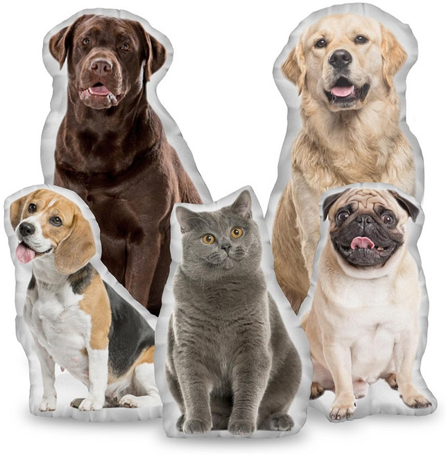 주문제작 포토쿠션 강아지 고양이 맞춤 쿠션 베개 인형 선물 반려견 발려묘 애완견 인형쿠션 쥐 말린 (쿠션솜 포함), 이형