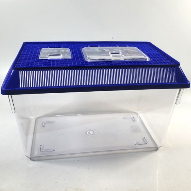 사각 채집통 왕대 거북이어항 곤충 도마뱀 사육장