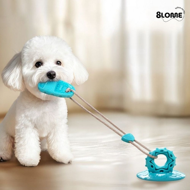 8LOME 강아지 셀프 터그놀이 치발 장난감 튼튼한 흡착판, 1개, 스카이블루