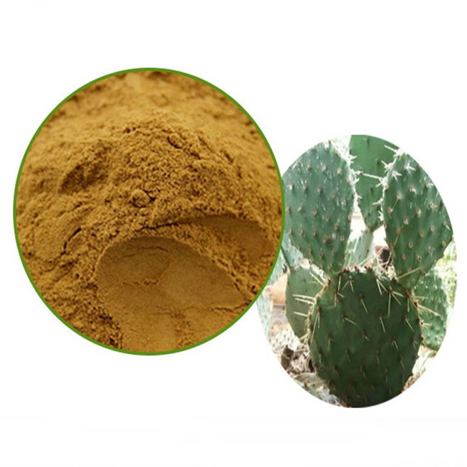 백년초농축분말 1kg, 1개