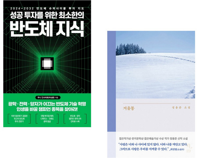 (무니 인사이트) 성공 투자를 위한 최소한의 반도체 지식 + (정용준) 겨울통 (전2권)