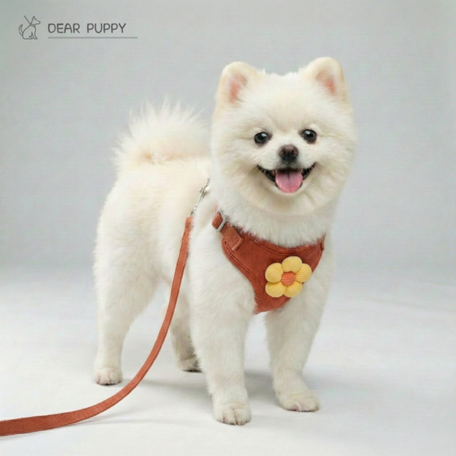 디어퍼피 플라워 하네스 가슴줄 리드줄 세트 산책줄 소형견 중형견, 레드로즈